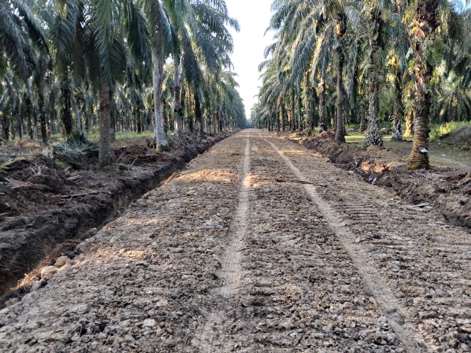 Kadisbun Kampar Paparkan Manfaat Jalan Produksi Perkebunan